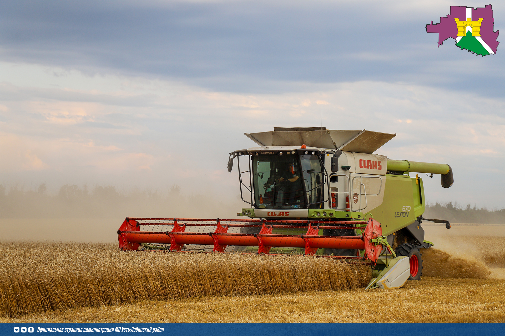 В 2024 году будет осуществляться государственный мониторинг пшеницы