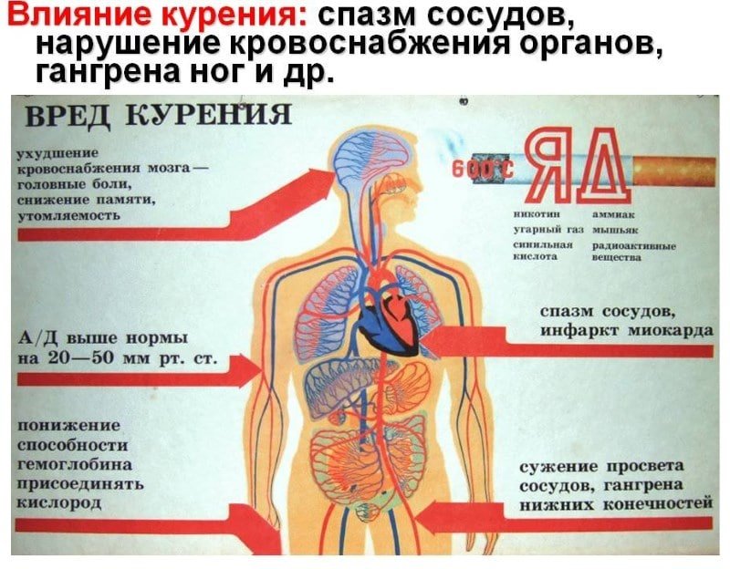 О вреде табака