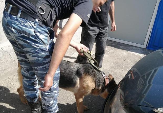 Кинологи с собаками искали взывчатку на автовокзале в Усть-Лабинске